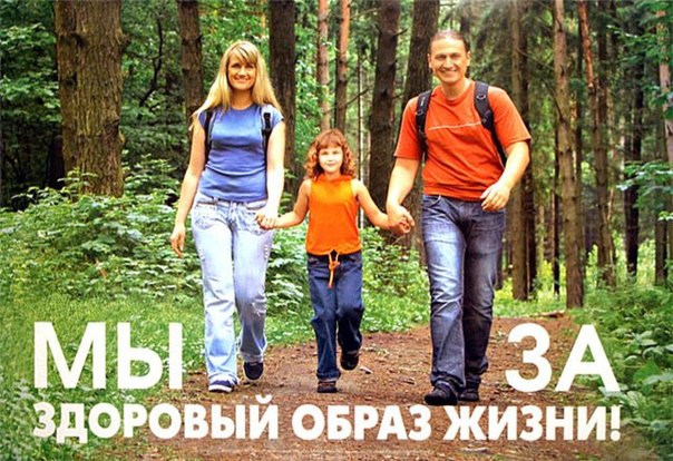 модель общества